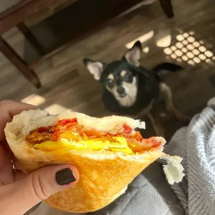 Breakfast sandwich