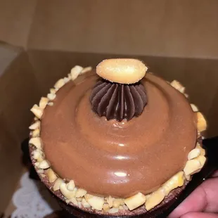 a hand holding a chocolate cupcake