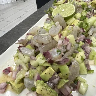 Cevi-VERDE