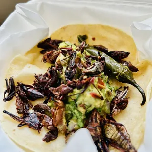 Grasshopper taco