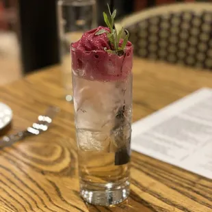 a glass of water with ice and a garnish