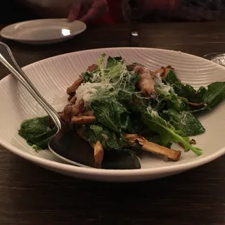 Chanterelle Mushrooms