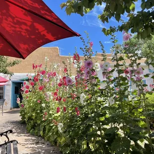 Super cute inn behind patio!