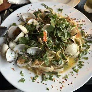 Clams Bianca