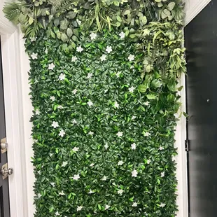 Grass wall is free with every rental