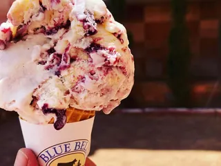 Wonderscoops