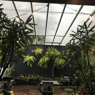 a patio with plants and lights