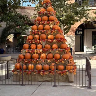 Halloween Tree