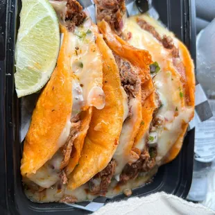 Birria Tacos