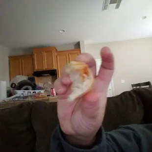a hand holding a piece of bread