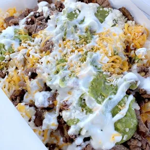 Carne Asada Fries