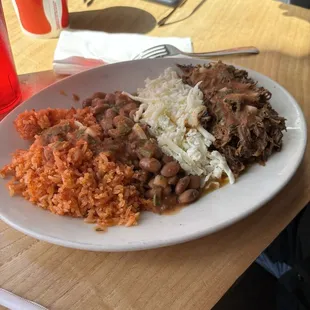 Birria plate