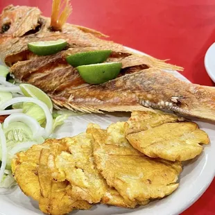 Fried red snapper, tostones and salad.