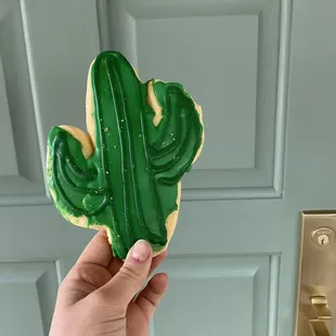 Gigante Saguaro cookie!