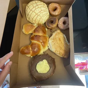 Original conchas, 3 mini donuts - one of each kind, cheese filled croissant, Apple empanada and the Boston cream donut