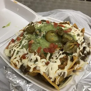 Asada Nachos!!!