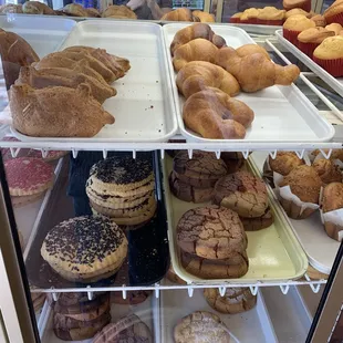Pastry case