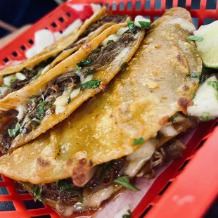 Queso Birria Tacos