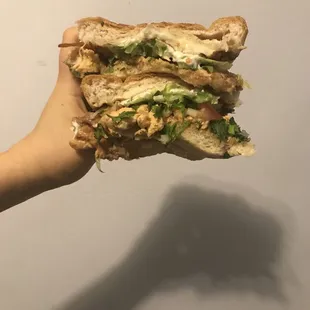 Chicken torta. Had lettuce, sour cream, tomatoes