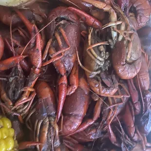 Crawfish