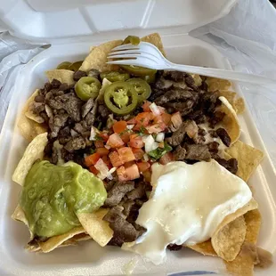 Carne Asada nachos