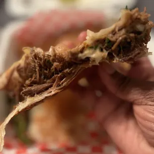 Very meaty quesadilla