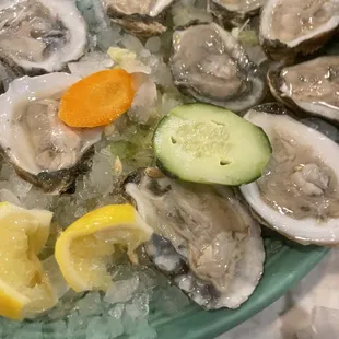 Oysters