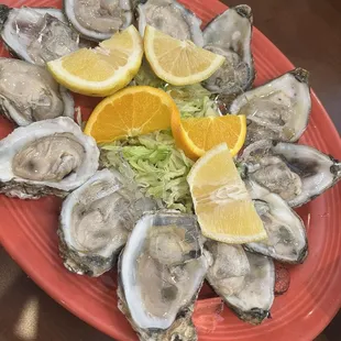 Oyster
