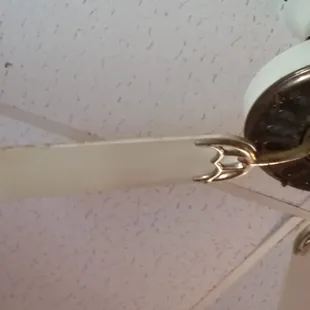 Disgusting dirty fan.