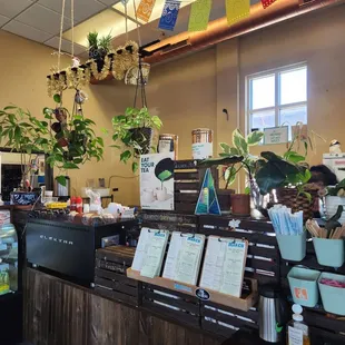 Even though they serve in beautiful ceramic mugs, most customers sitting down opted for plastic. Only one planet, people!
