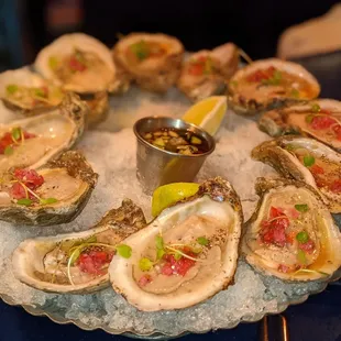 Oysters