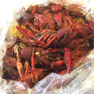 Crawfish are nice size and EXTREMELY GOOD! CHECK OUT THAT SEASONING !