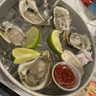 Half dozen raw oysters