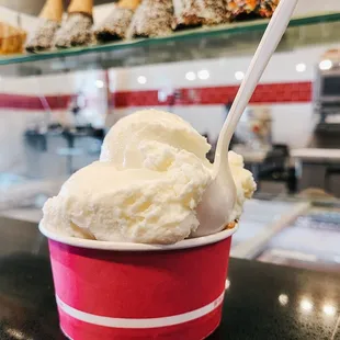Coconut Ice Cream