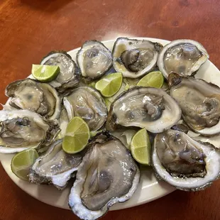 a plate of oysters