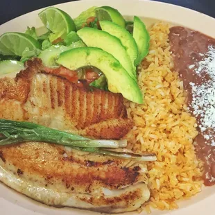 Grilled Tilapia Fillet