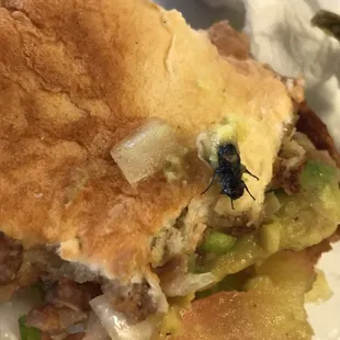 A fly that was inside the torta.