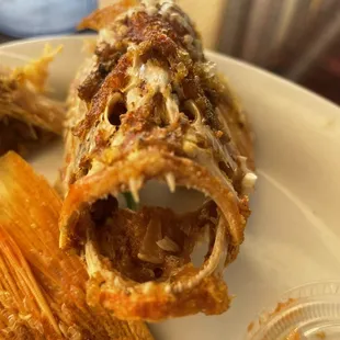 Head of the fish lol