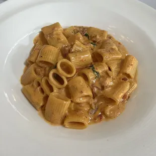 Rigatoni Alla Vodka