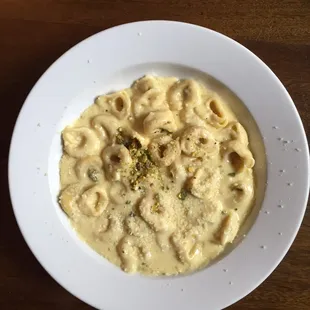 Cheese Tortellini