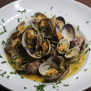Fresh Steamed Clams