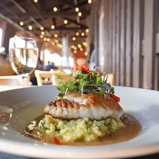 Pan Seared Halibut Special served over risotto.