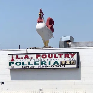 It doesn't get much fresher than LIVE! :-0