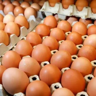 eggs in cartons with eyes