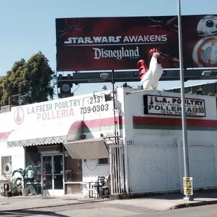 a star wars store