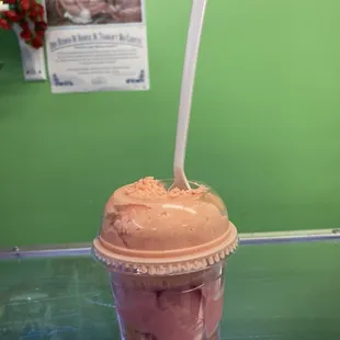 Mamey, Guava and Nancite Ice cream..