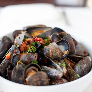 oysters, oysters and mussels, mussels, food, shellfish