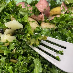 a closeup of a salad with a fork