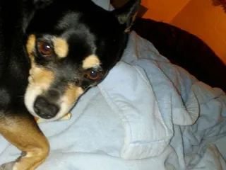 Cope Behavioral Services