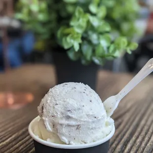 Love the gelato here!